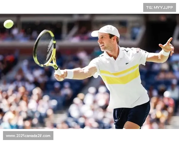 梅德韦杰夫美网煽动观众，争议判罚引发混乱